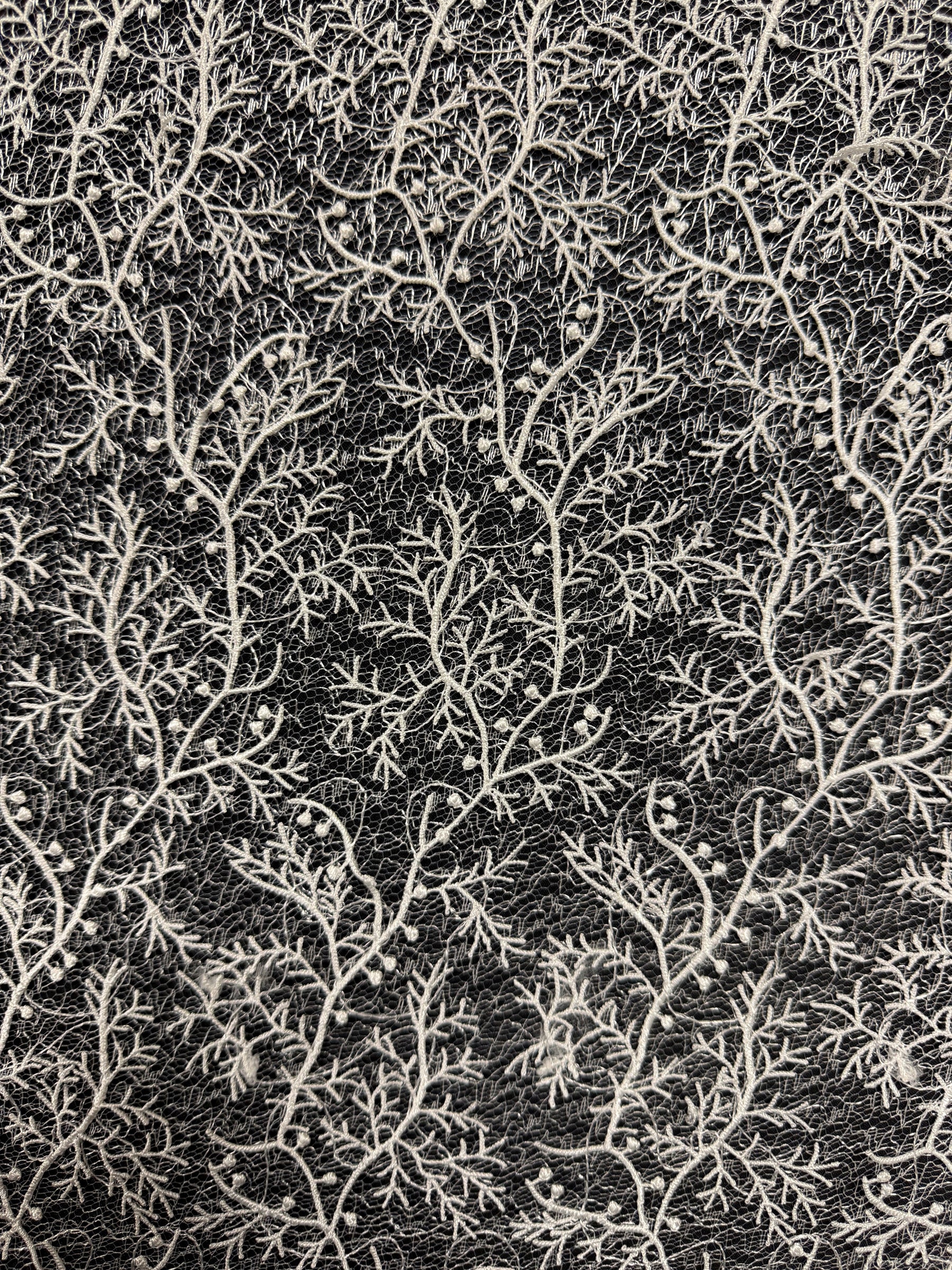 Elfenbeinfarbene Stickspitze - EB5054