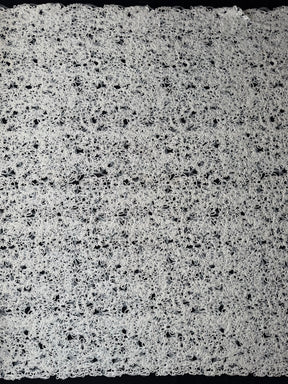 Elfenbein Pailletten Abstrakt Spitze - P870