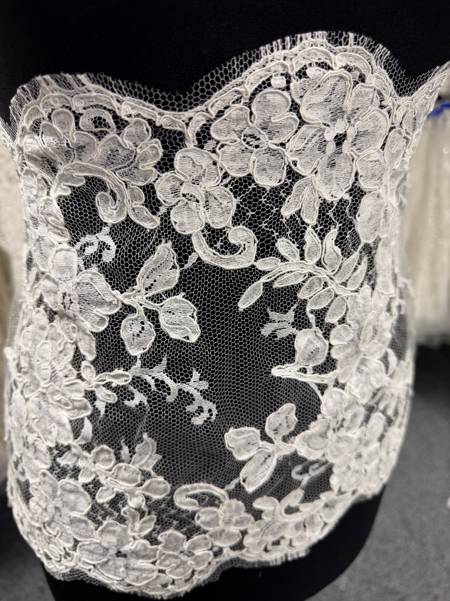 Ivory Corded Chantilly Lace Trim - Rio