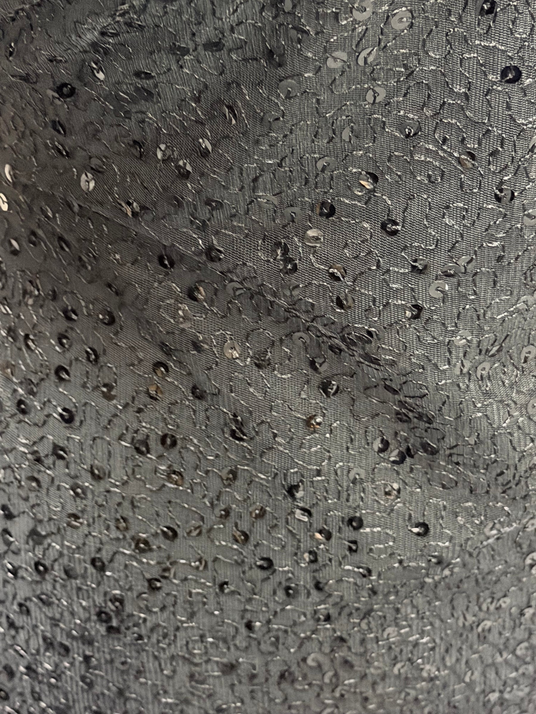 Schwarzer, bestickter Paillettentüll – EB3001