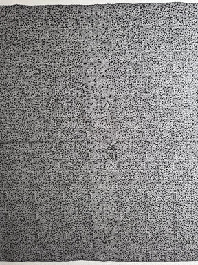 Schwarzer, bestickter Paillettentüll – EB3001