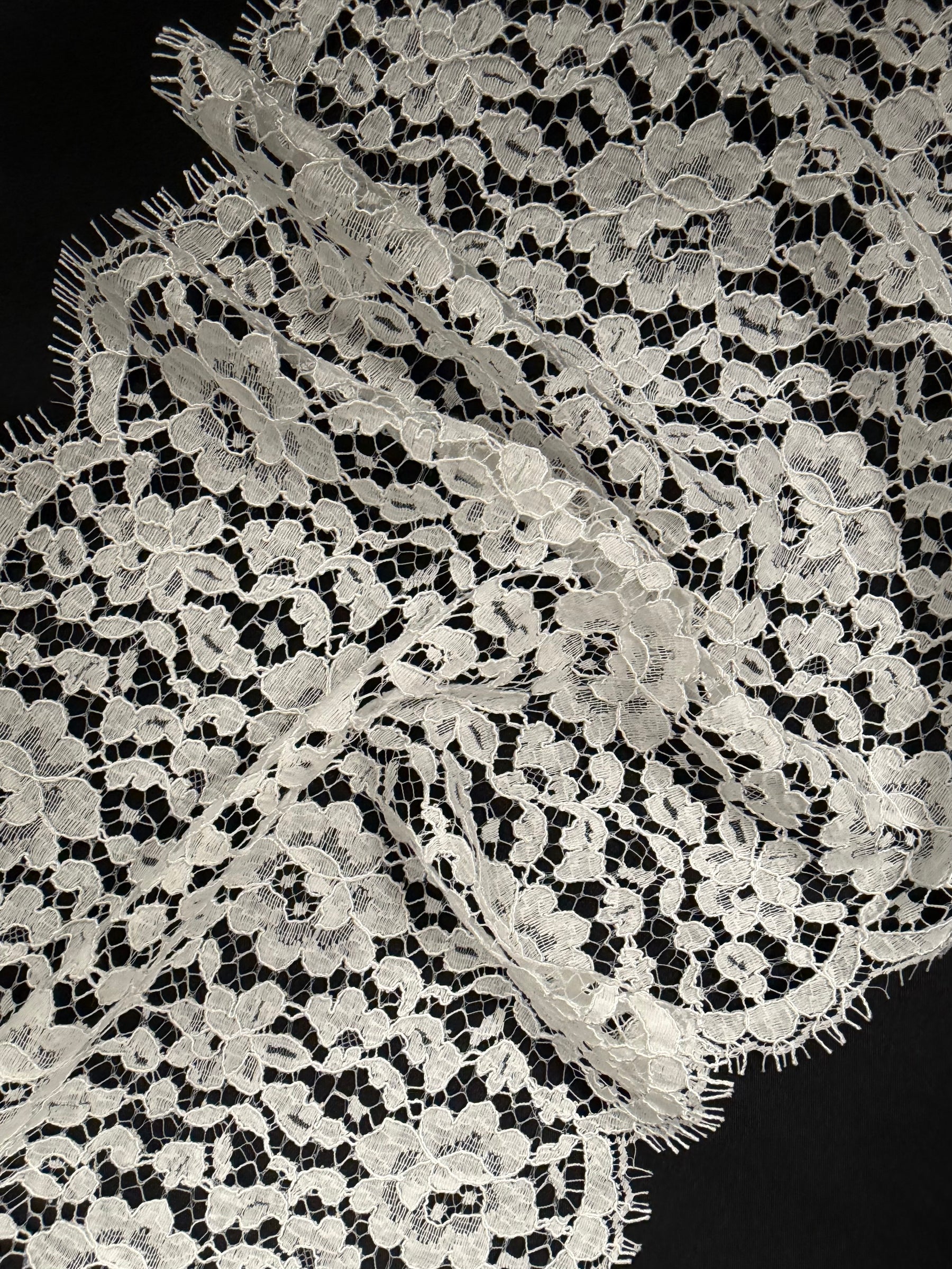 Ivory Corded Chantilly Lace Trim - T808