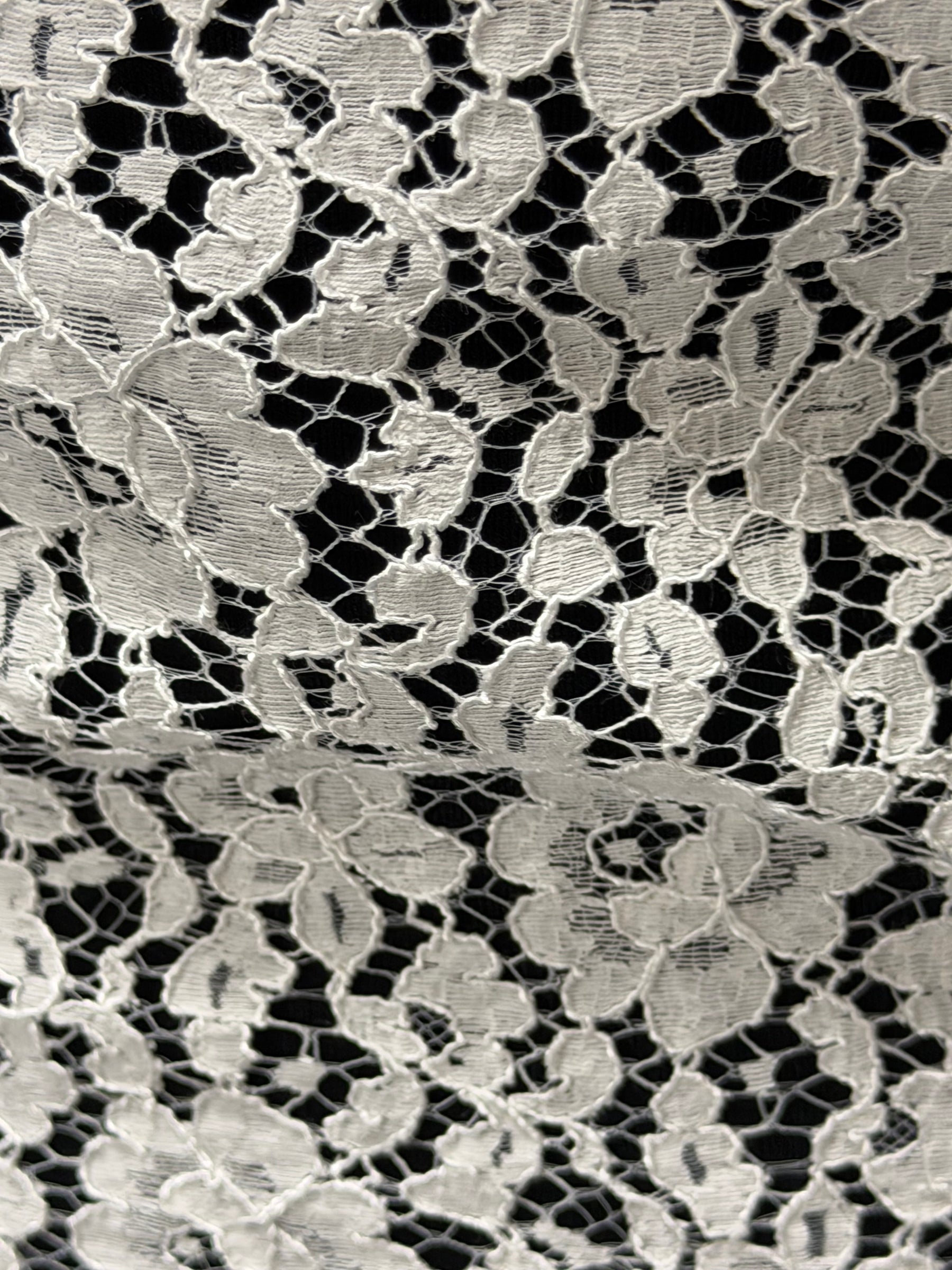 Ivory Corded Chantilly Lace Trim - T808