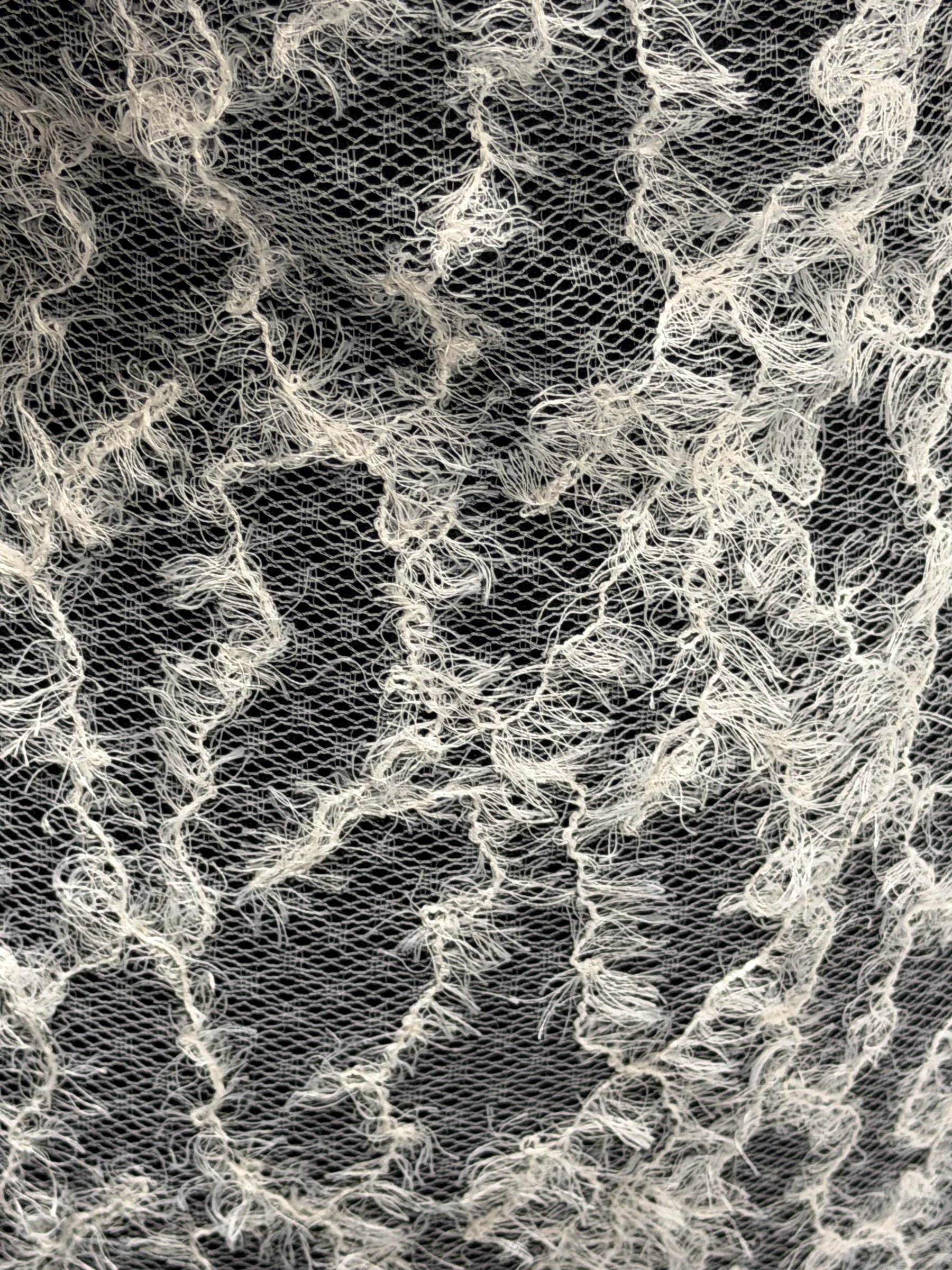 Ivory Embroidered Lace - P407
