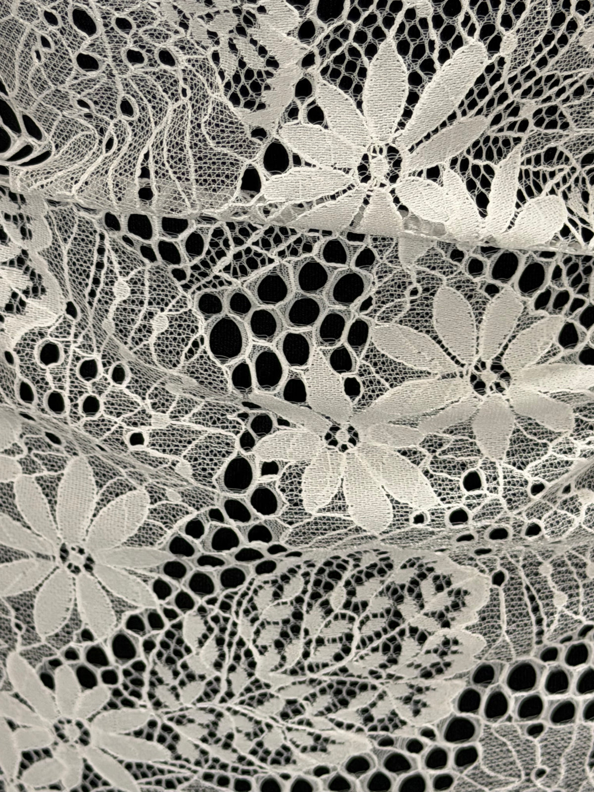 Ivory Lace - LA1013