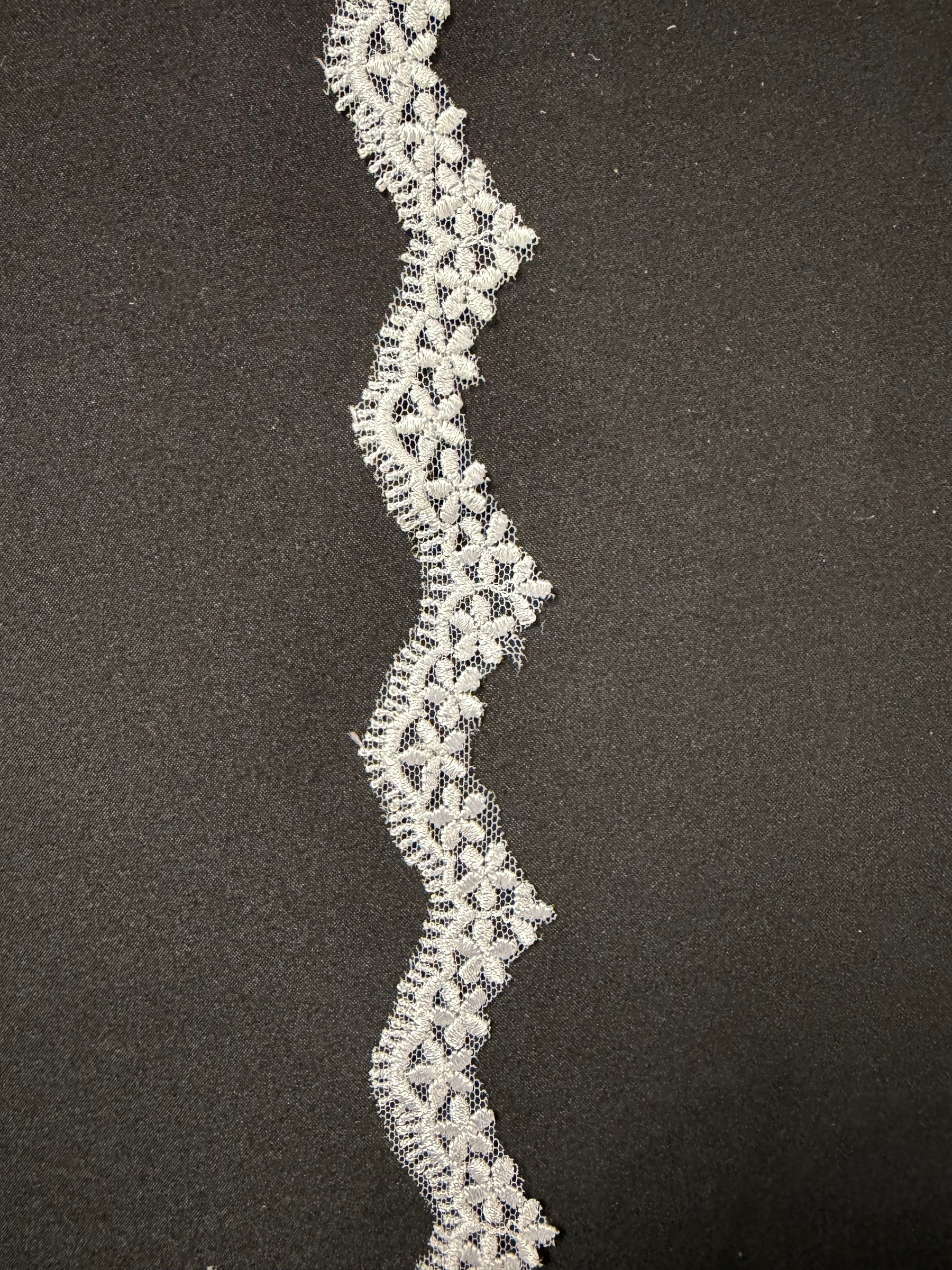Weiße bestickte Spitze - T828