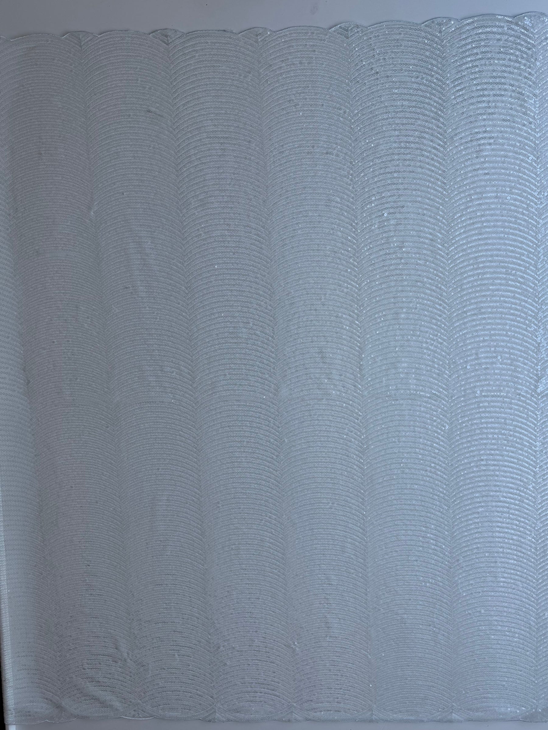 Hellblauer, bestickter Paillettentüll – EB3020