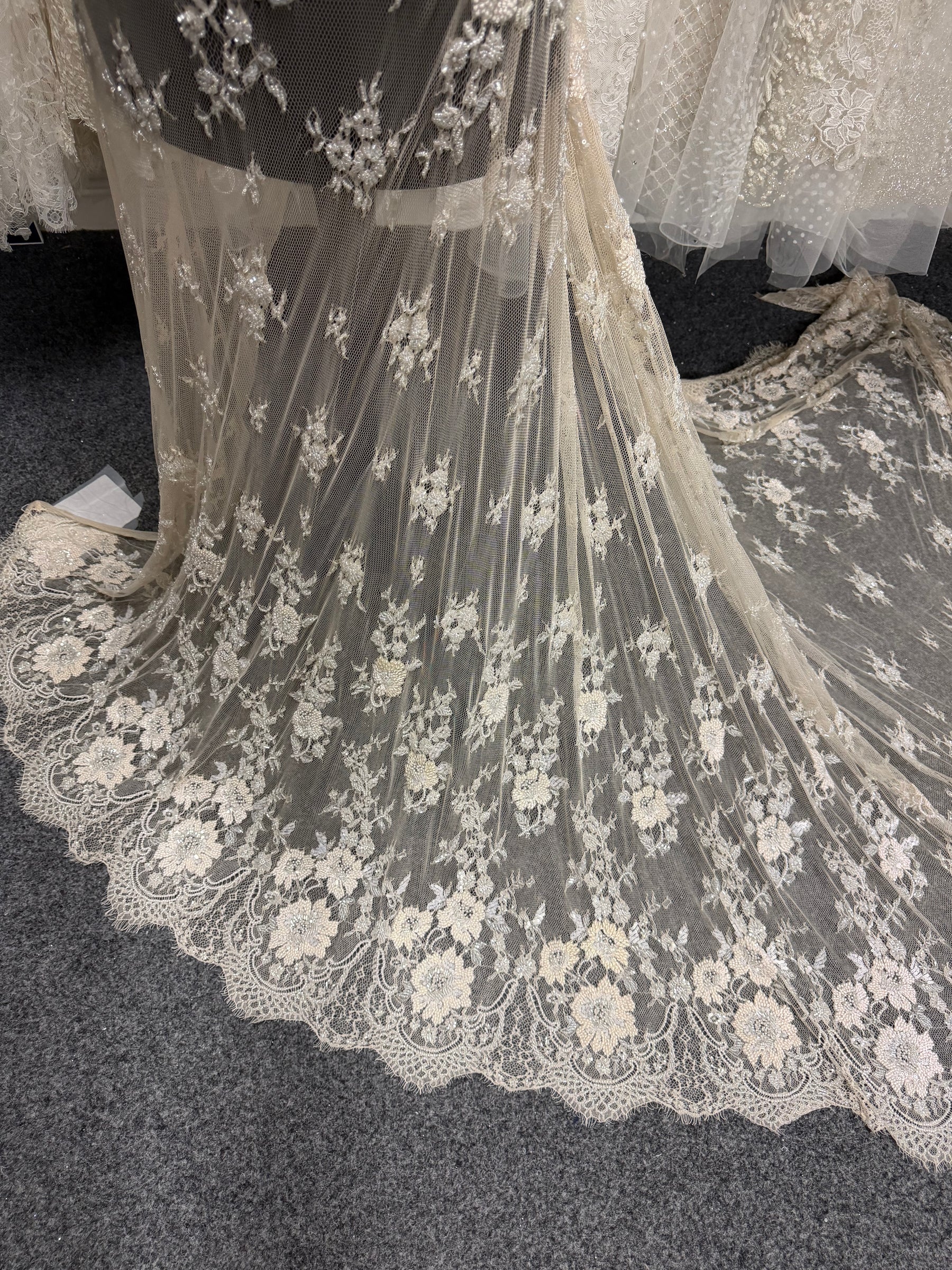 Champagne Hand Beaded Raschel Lace - Ashley