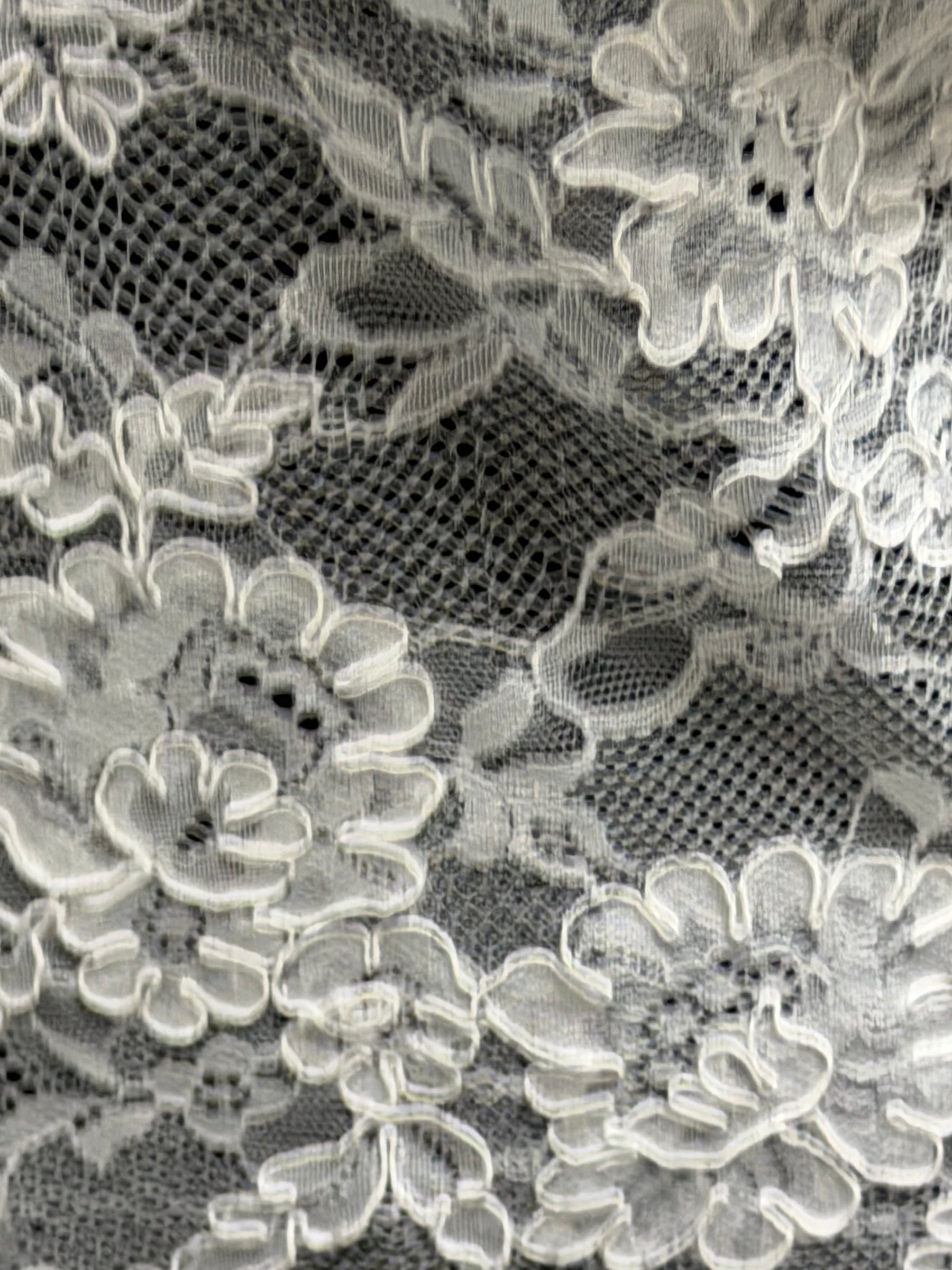 White Corded Lace - P442