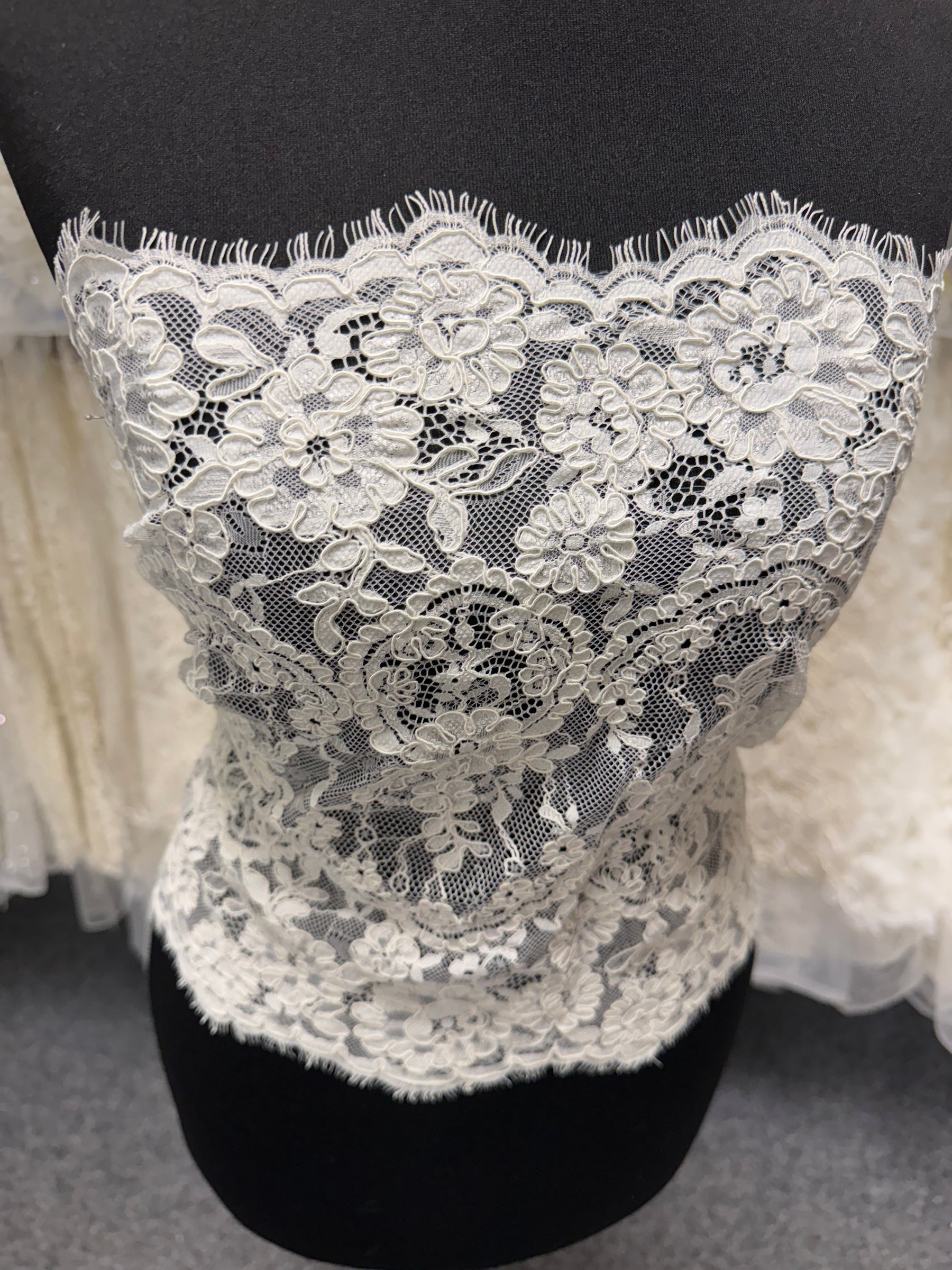 Blass elfenbeinfarbene Spitzenborte – Eloise