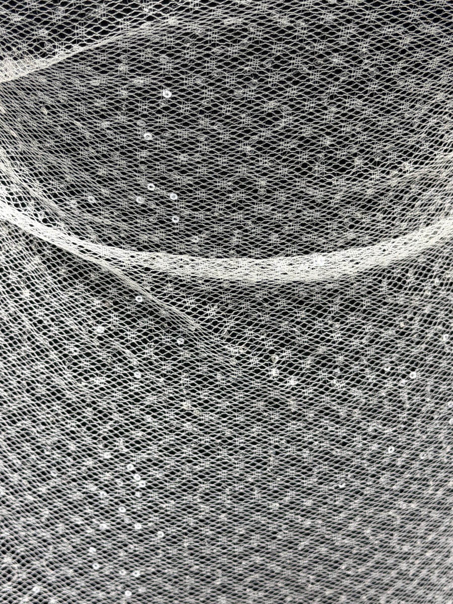 Elfenbeinfarbene Pailletten-Raschelspitze – EB3046