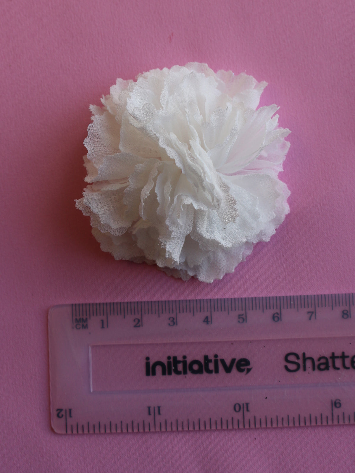 Elfenbeinfarbene Chiffonblume – Allysum (Beutel mit 12 Stück)