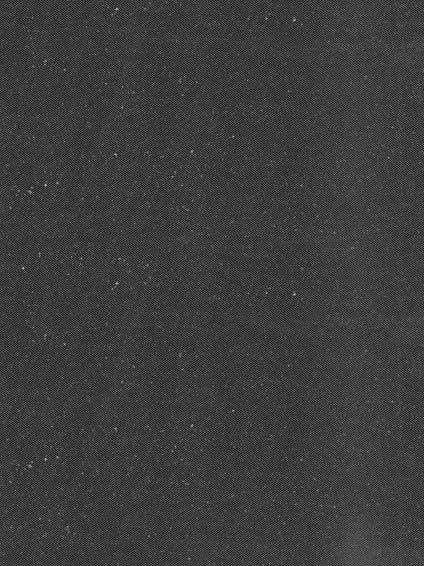 Elfenbeinfarbener Tüll mit silbernem Glitzer - P15