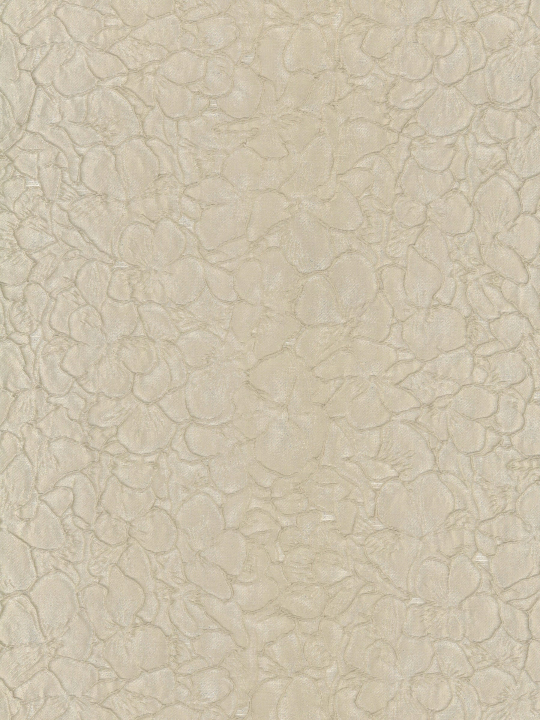 Kaffee-Jacquard – P659