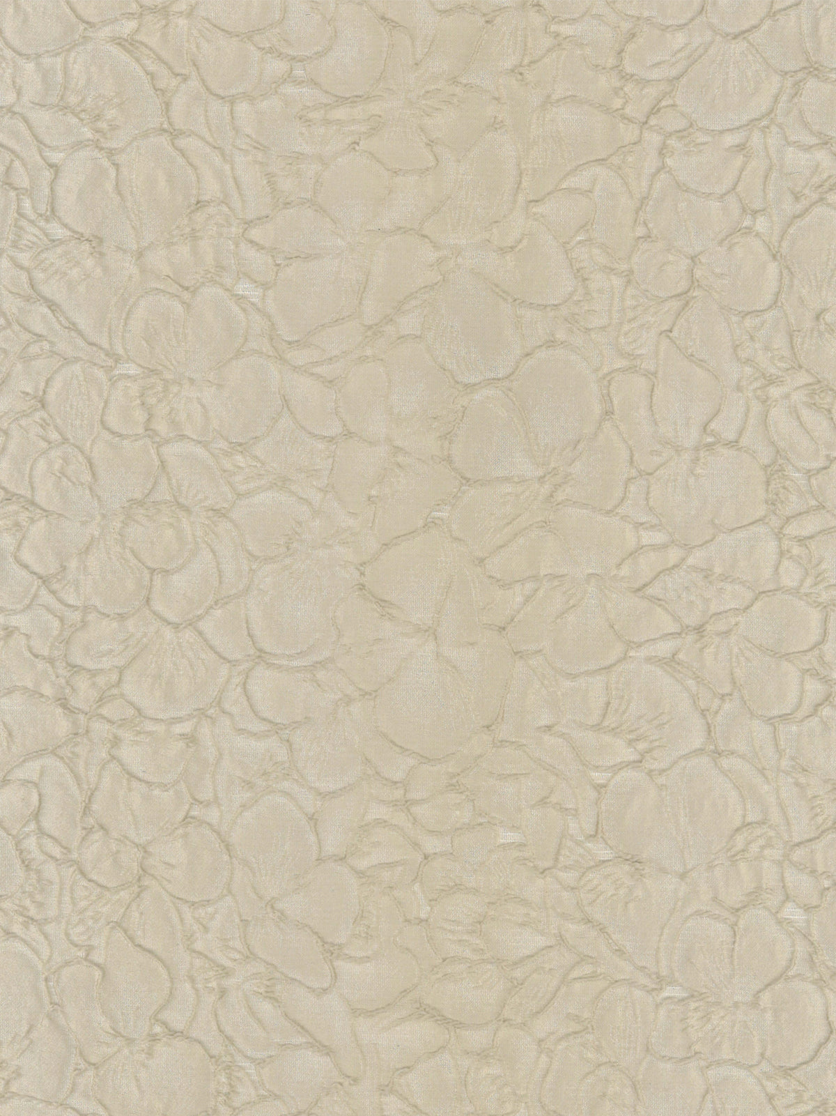 Kaffee-Jacquard – P659