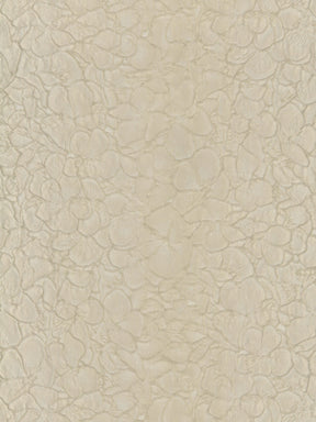 Kaffee-Jacquard – P659