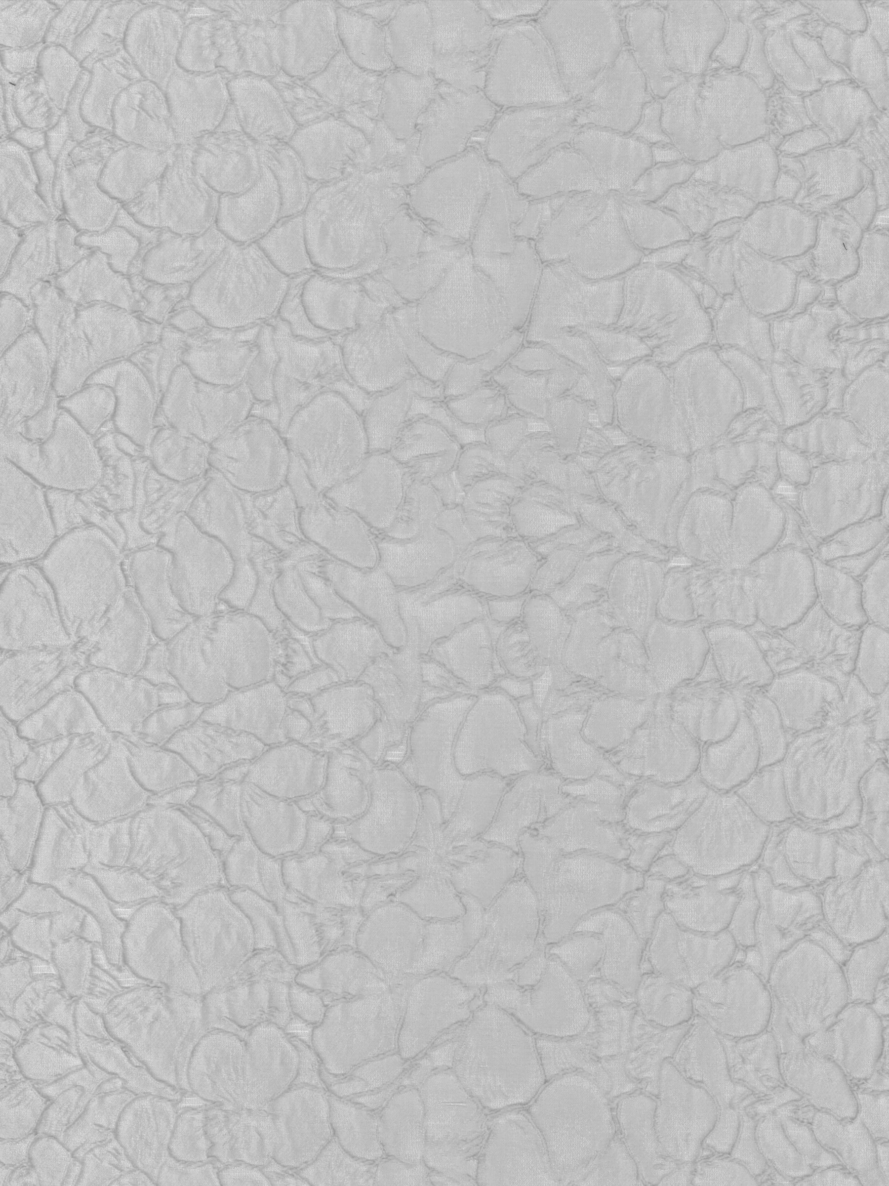 Enteneier-Jacquard - P659