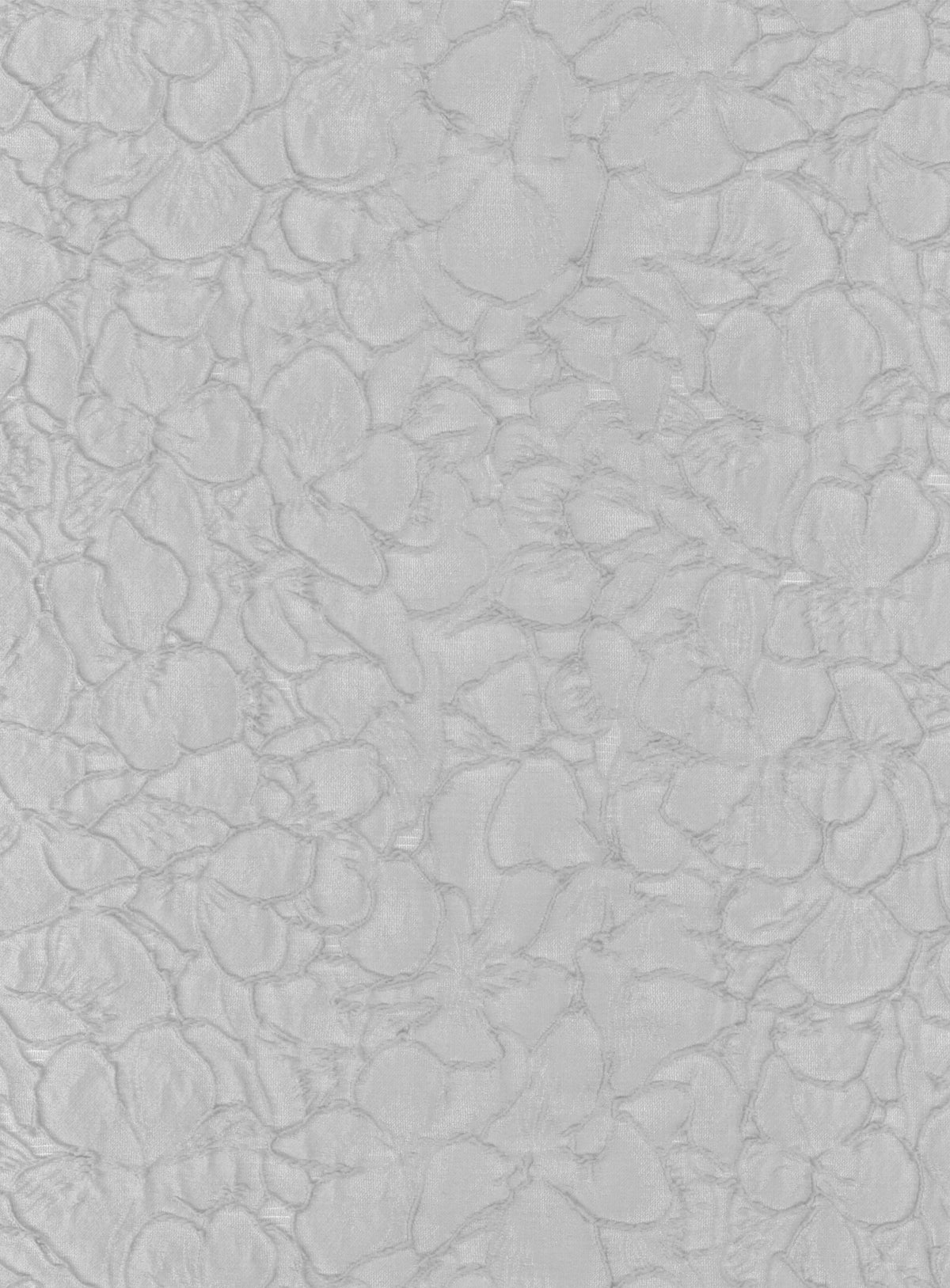 Enteneier-Jacquard - P659