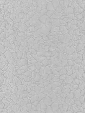 Enteneier-Jacquard - P659