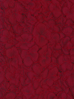 Wein-Jacquard - P659