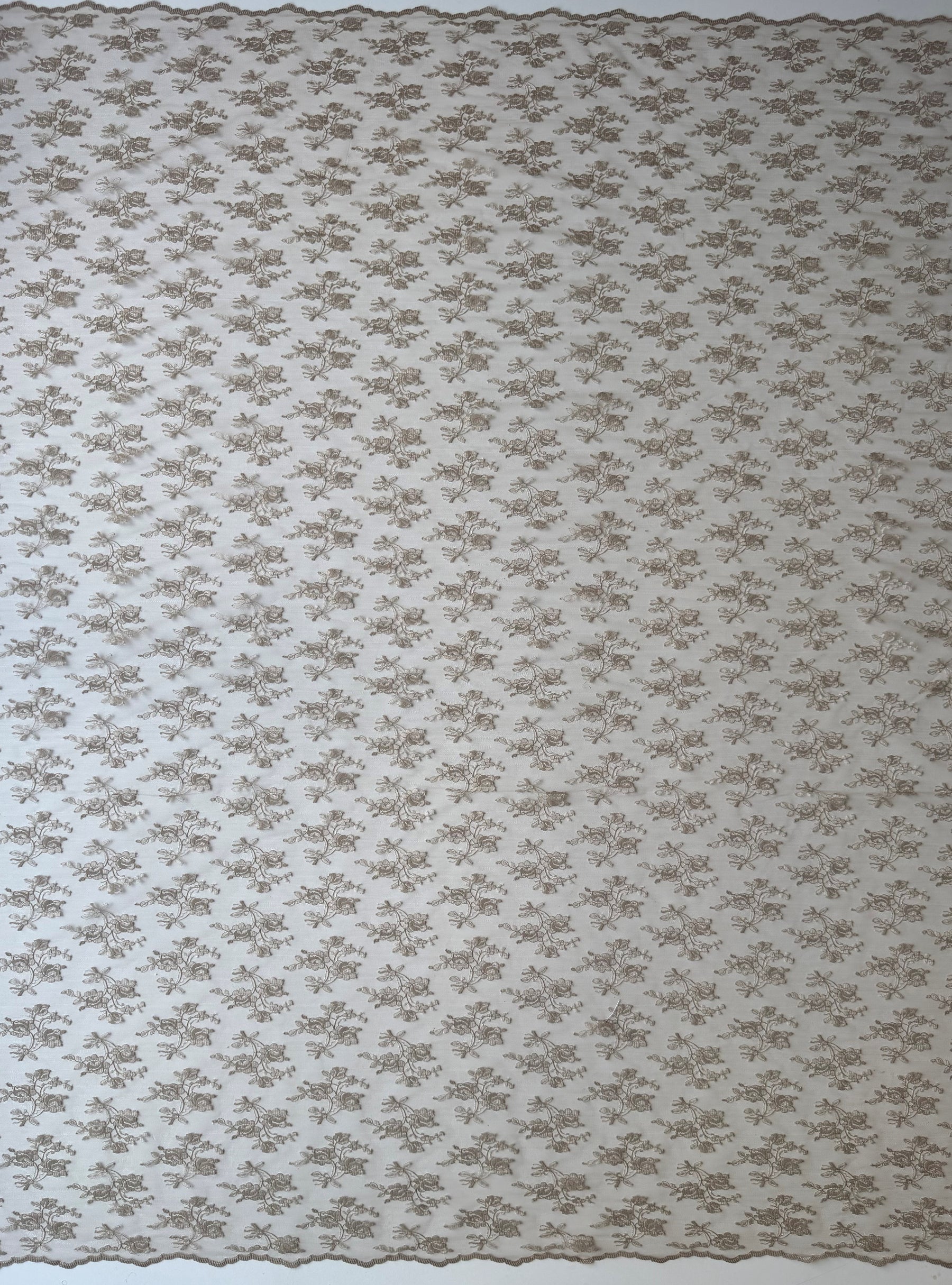 Kaffee Raschelspitze - P856