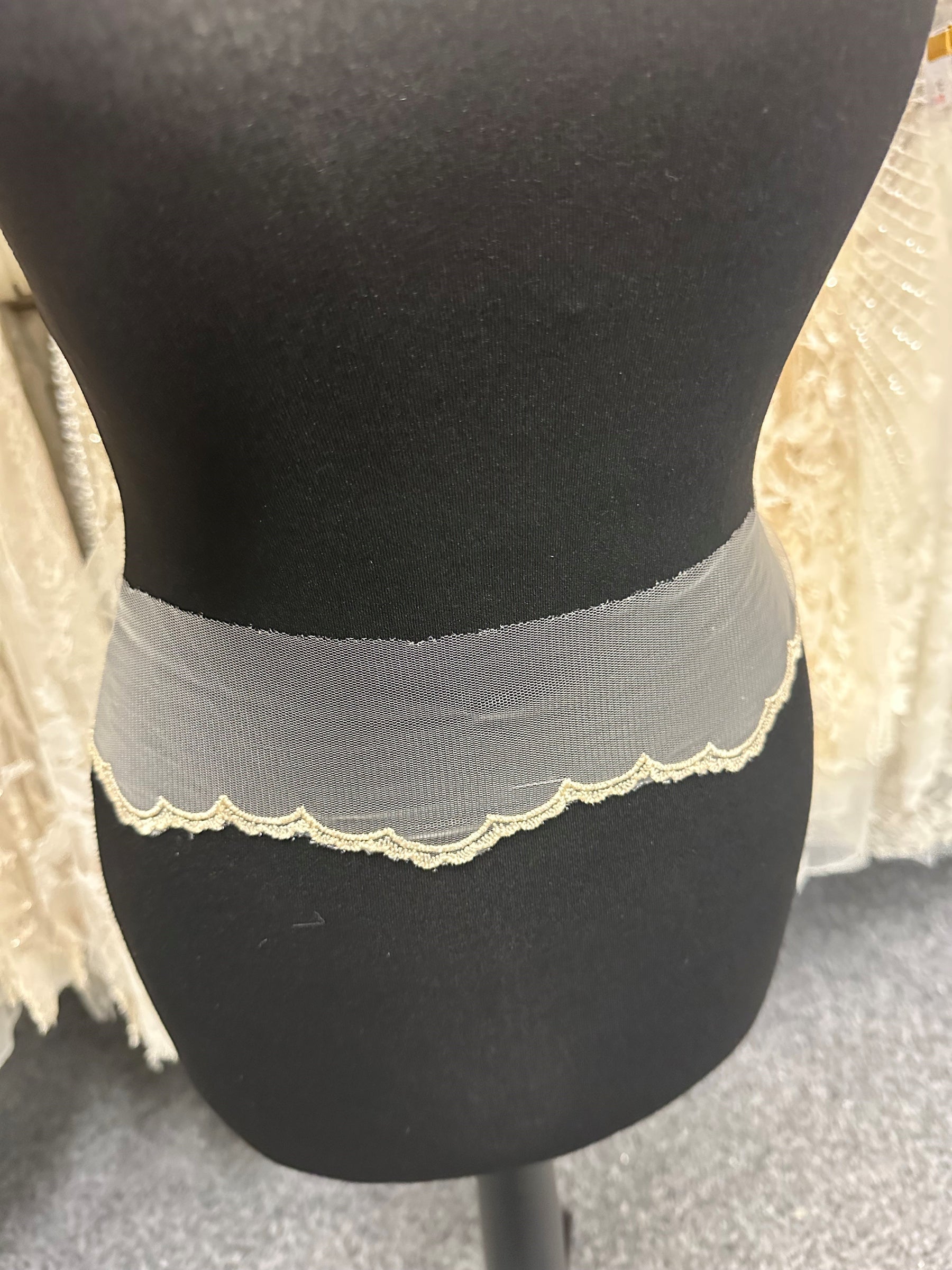 Elfenbein mit hellchampagnerfarbenem, besticktem Spitzenbesatz - T202