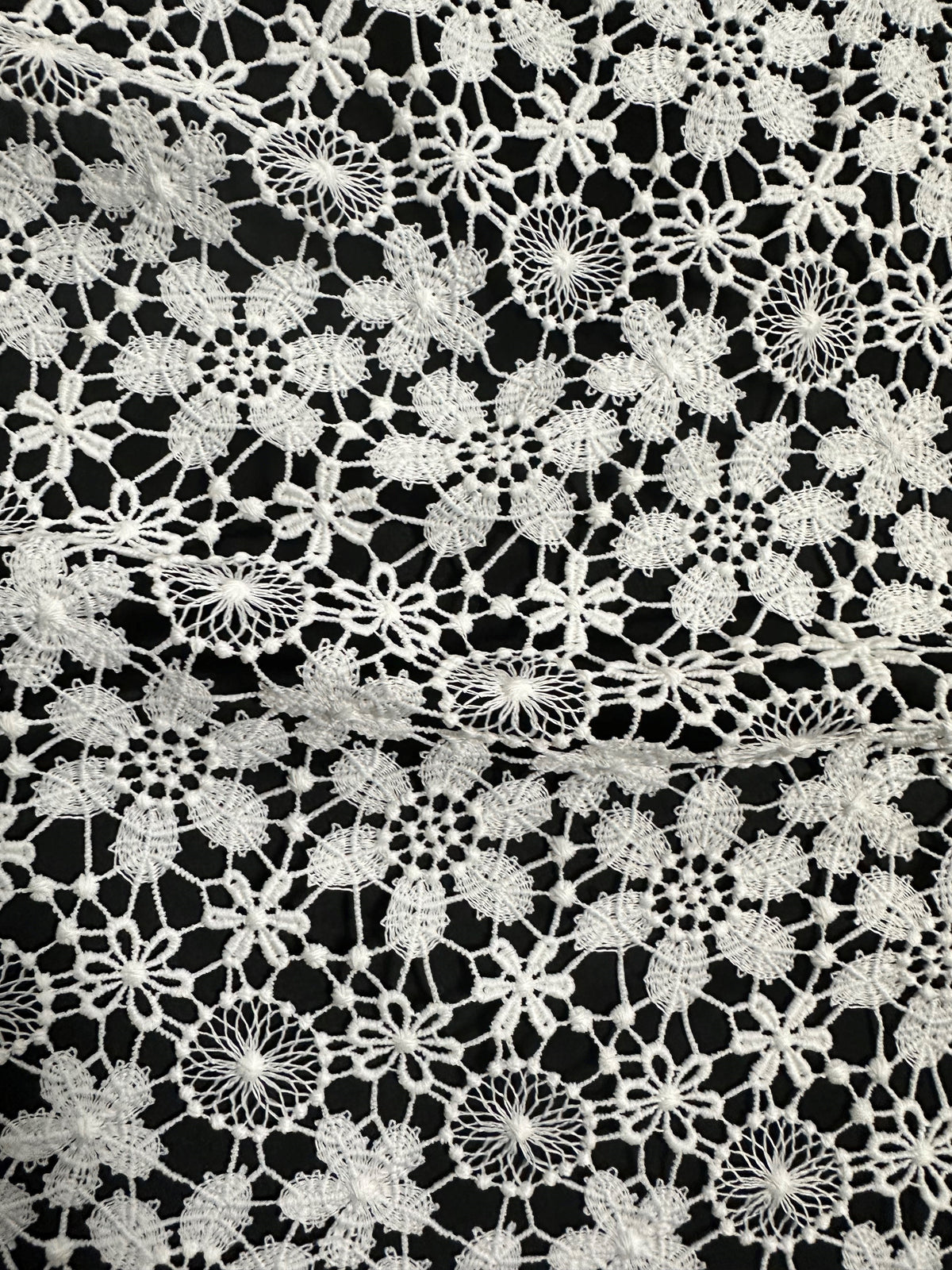 Elfenbeinfarbene Guipure-Spitze - Dragoon