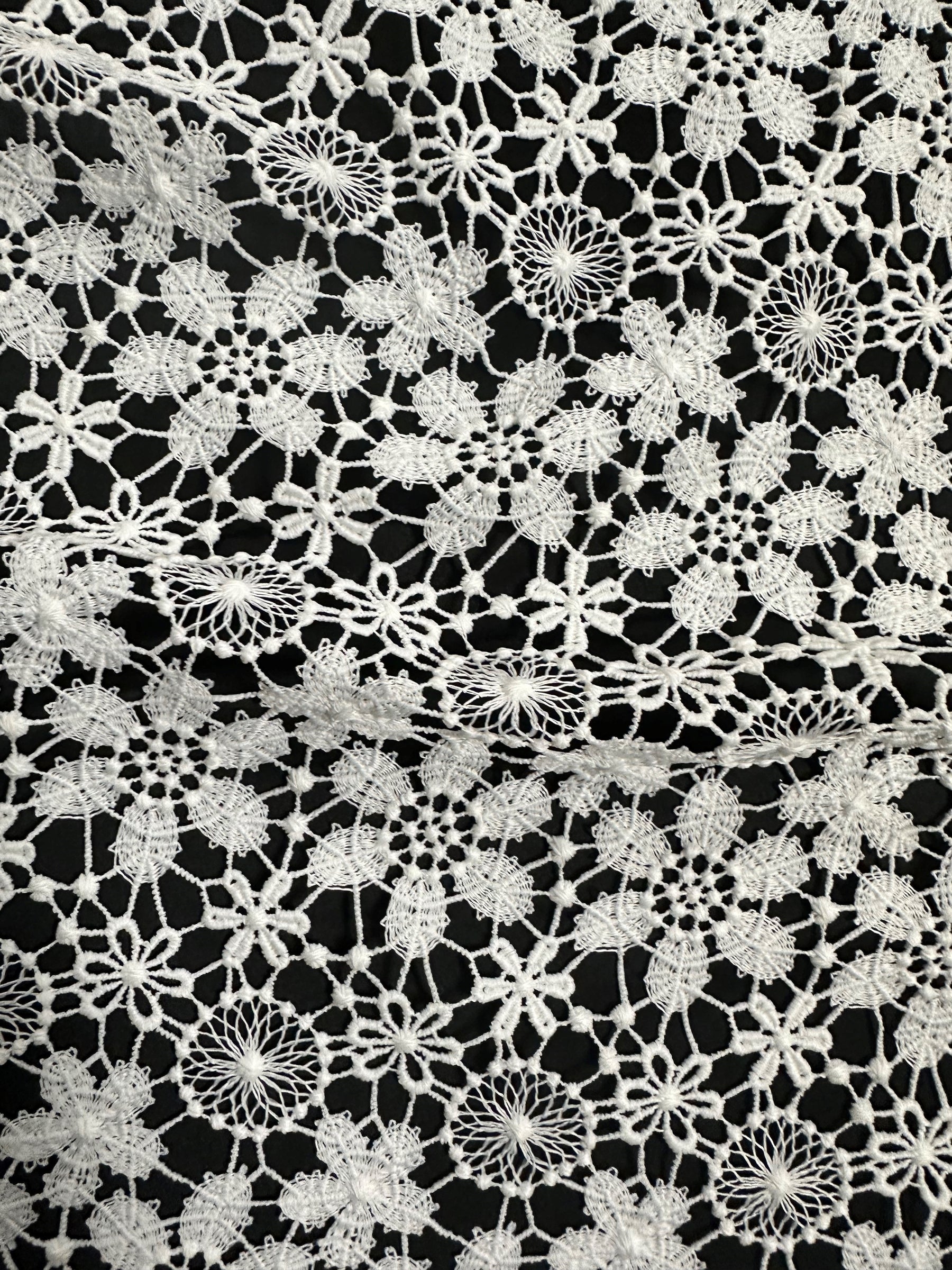 Elfenbeinfarbene Guipure-Spitze - Dragoon