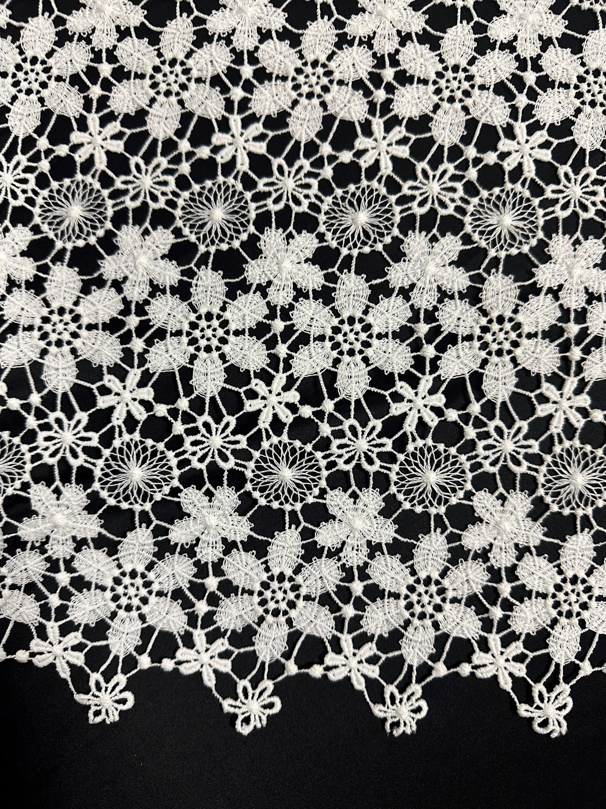 Elfenbeinfarbene Guipure-Spitze - Dragoon