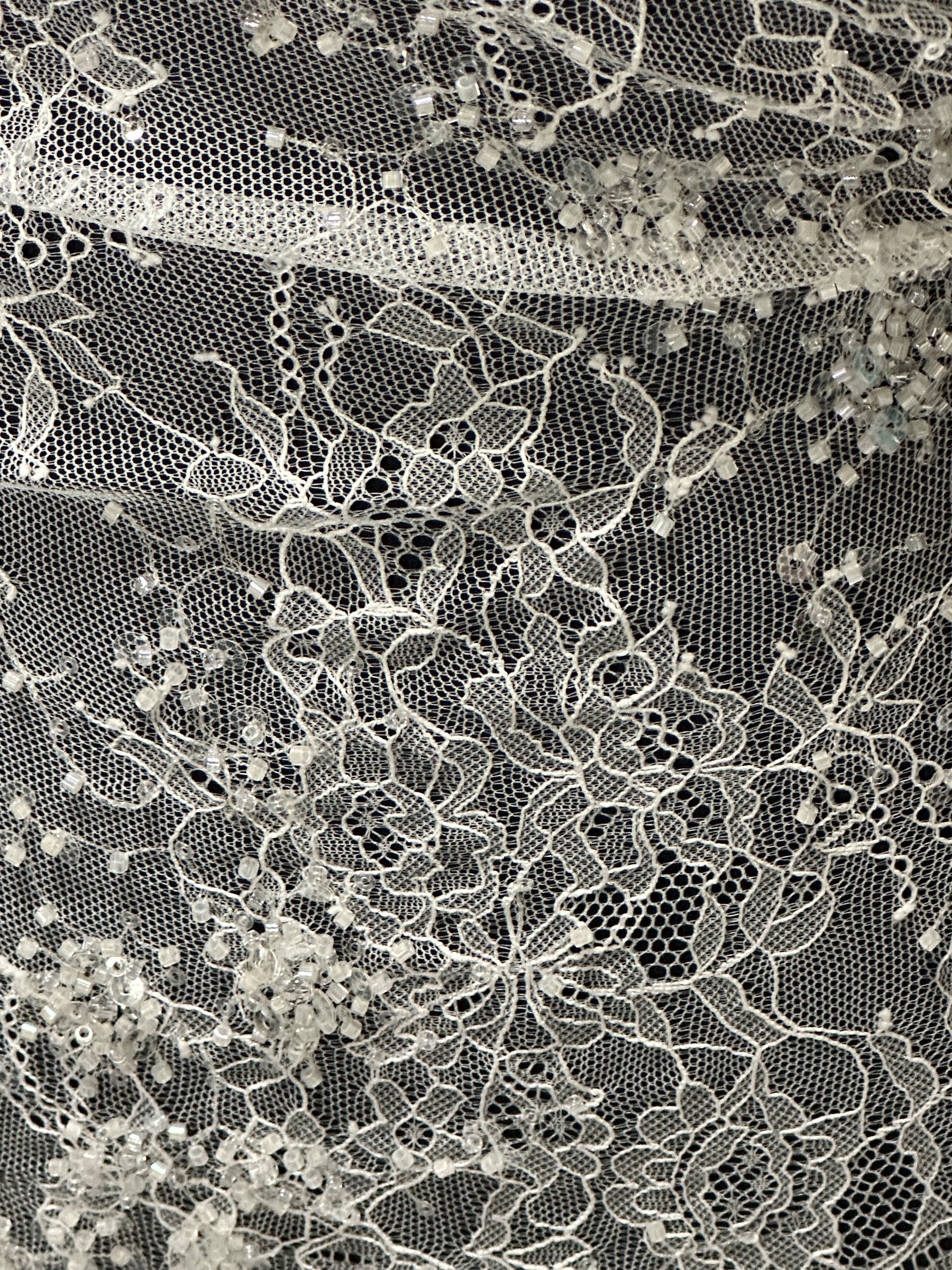 Ivory Corded and Sequin Lace - Fronnie