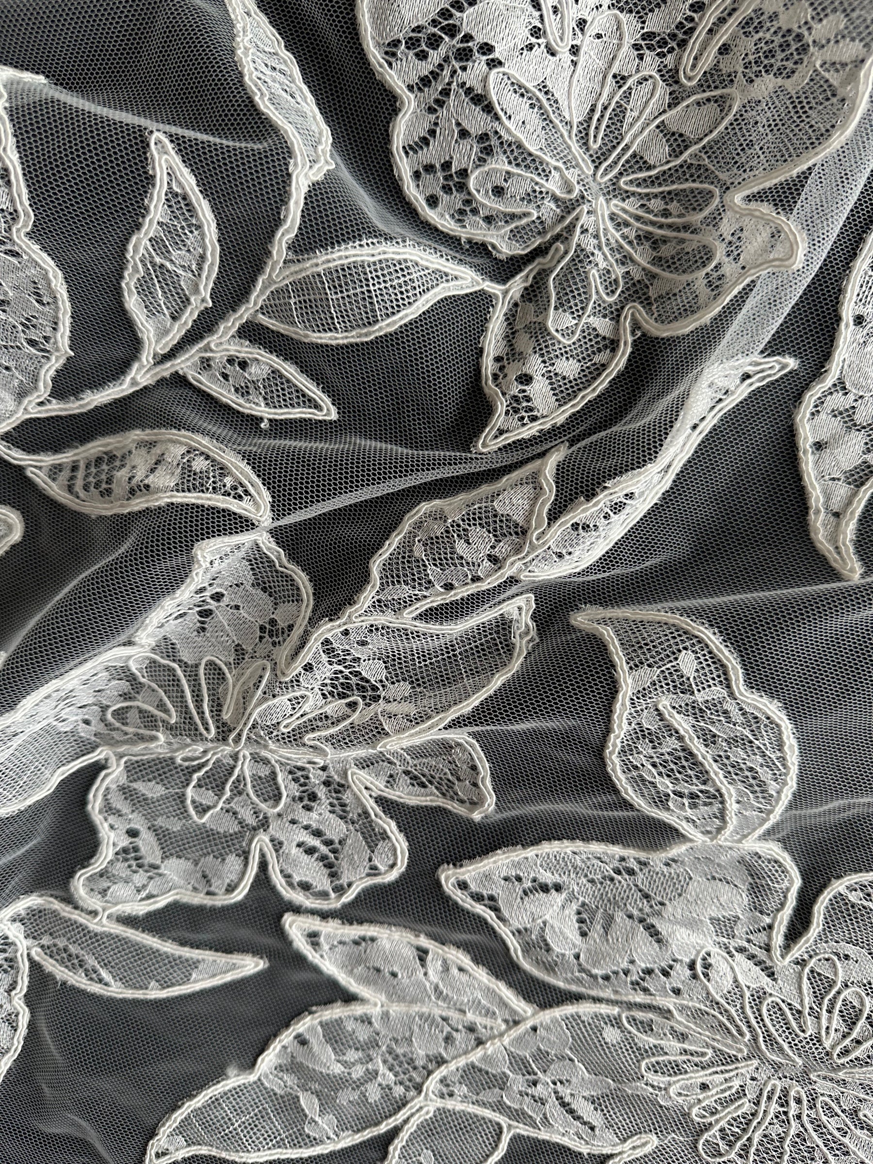 Ivory Corded Contemporary Lace - Sawyer