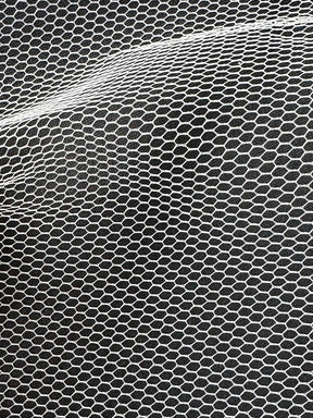 Elfenbein Tüll - Tudor (CF)