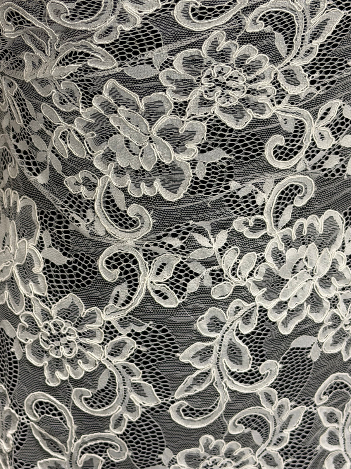 Ivory Corded Lace - P210