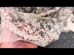 Austernfarbene bestickte Chantilly-Spitze - P298