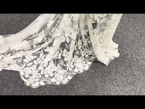 Elfenbeinfarbene bestickte Spitze - EB5049