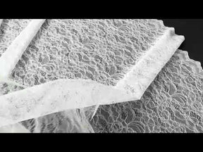 Pale Ivory Raschel Lace - P412