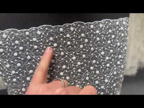 Elfenbeinfarbene bestickte Spitze - EB5027