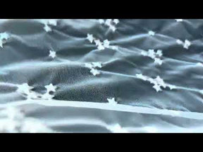 Elfenbeinfarbene Stickspitze – EU5005