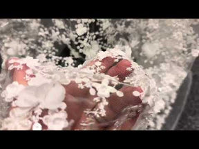 Elfenbeinfarbene 3D-bestickte Spitze - Savinder