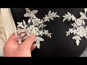 Ivory Embellished Lace Appliques - T326