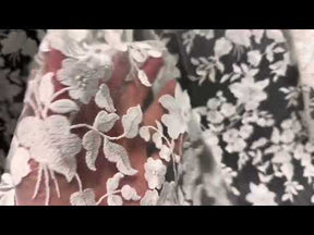 Elfenbeinfarbene bestickte Spitze - X579