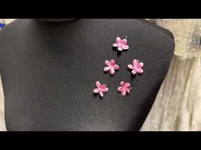 Rosen-Satinblumen - M13 (Beutel mit 144 Stück)