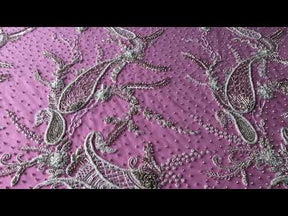 Elfenbeinfarbene, perlenbesetzte Paisley-Spitze – Amani